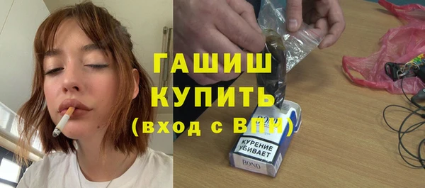 шишки Горняк