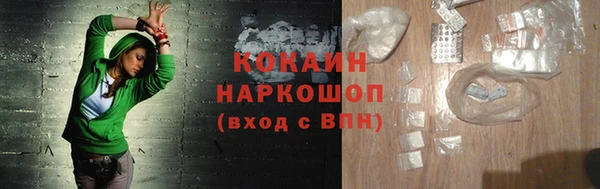 шишки Горняк