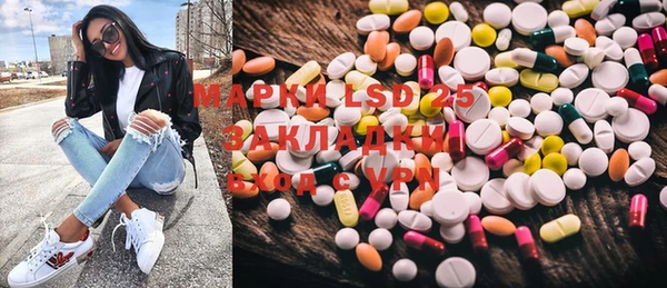 шишки Горняк