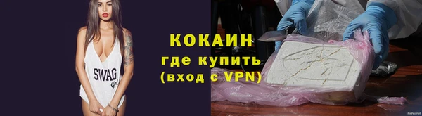 шишки Горняк
