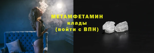 шишки Горняк