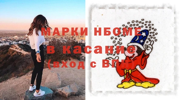 шишки Горняк