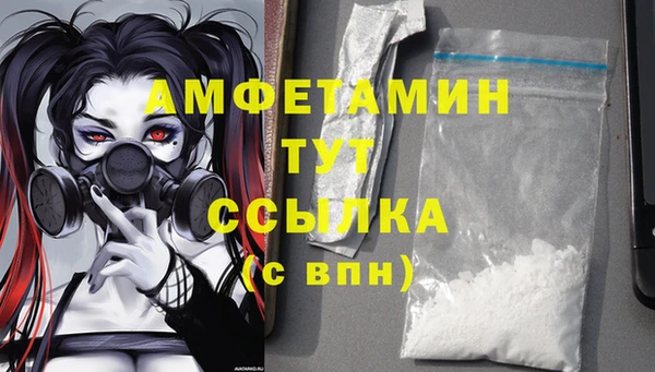 шишки Горняк