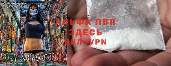 шишки Горняк