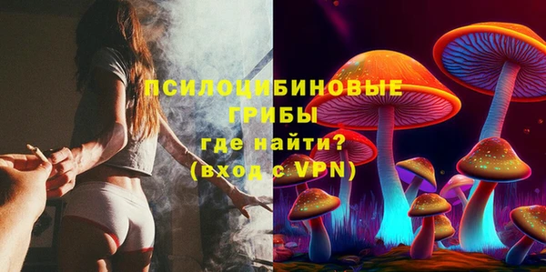 ALPHA PVP Горнозаводск