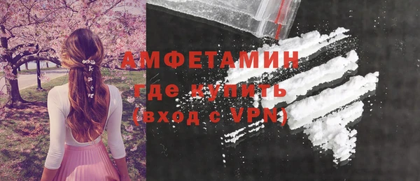 шишки Горняк