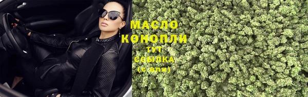 шишки Горняк