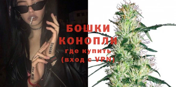 шишки Горняк