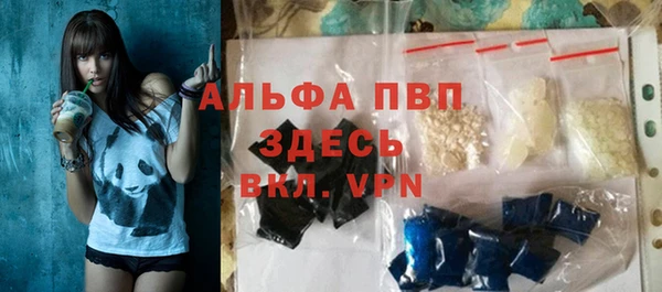 шишки Горняк