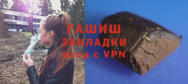 шишки Горняк