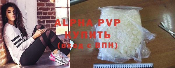 шишки Горняк