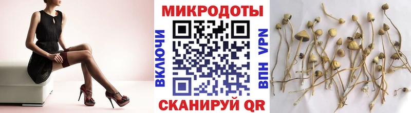 Купить  Полевской  Псилоцибиновые грибы Magic Shrooms 